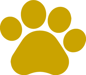 Pawpaw-2